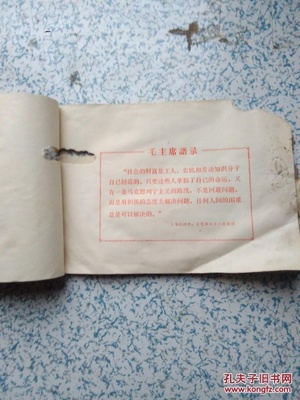 HZ6---型行星滚锥式混凝土高频振动器使用说明书【带语录】_广东佛山振动器厂_孔夫子旧书网