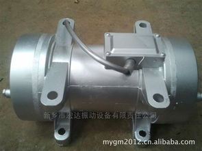 ZW 2.5 平板振动器 单相220V驱动的卓越筑路设备